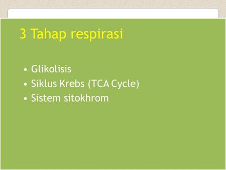 3 Tahap respirasi Glikolisis Siklus Krebs (TCA Cycle) Sistem sitokhrom.