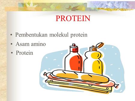 PROTEIN Pembentukan molekul protein Asam amino Protein.