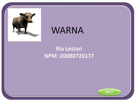 WARNA Ria Lestari NPM :20080720177 NEXT. Tujuan Untuk meningkatkan interaksi dalam team Bahan : Tidak ada Waktu : 10 menit Jumlah peserta : 15 s/d 30.