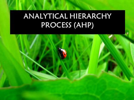 ANALYTICAL HIERARCHY PROCESS (AHP)