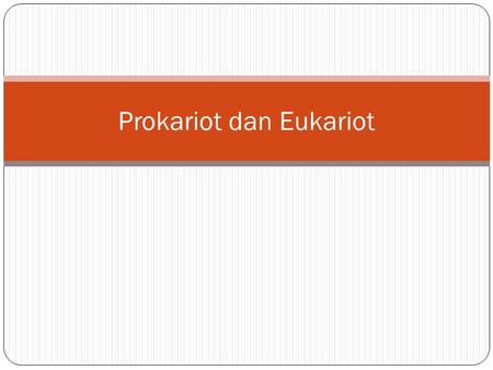 Prokariot dan Eukariot