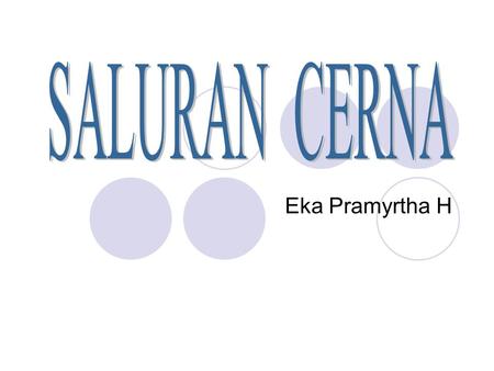 SALURAN CERNA Eka Pramyrtha H.