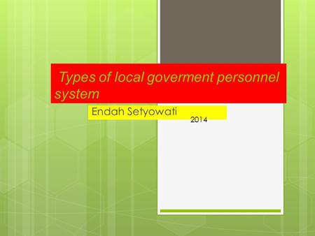 Types of local goverment personnel system