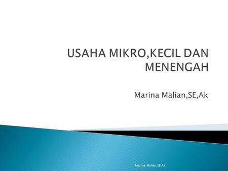 Marina Malian,SE,Ak.  Usaha Mikro adalah Usaha produktif milik orang perorangan dan atau badan usaha perorangan yang memenuhi kriteria usaha mikro Marina.