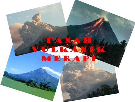 Tanah Vulkanik Merapi.