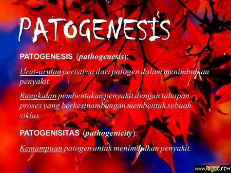 PATOGENESIS PATOGENESIS (pathogenesis):