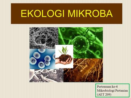 EKOLOGI MIKROBA Pertemuan ke-6 Mikrobiologi Pertanian (AET 209)