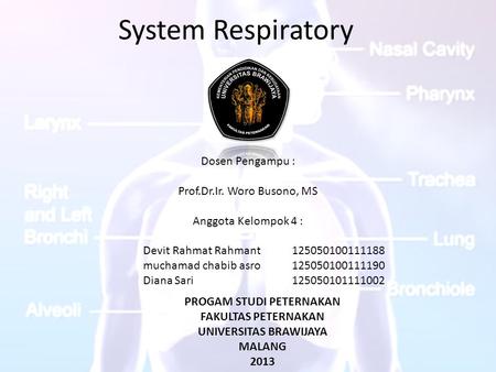 System Respiratory Dosen Pengampu : Prof.Dr.Ir. Woro Busono, MS