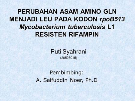 PERUBAHAN ASAM AMINO GLN MENJADI LEU PADA KODON rpoB513 Mycobacterium tuberculosis L1 RESISTEN RIFAMPIN Puti Syahrani (20505015) Pembimbing: A. Saifuddin.