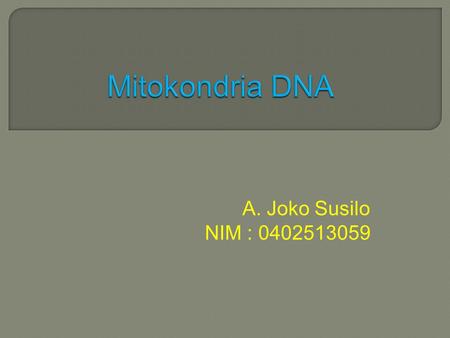 A. Joko Susilo NIM : 0402513059.  Mitokondria ditemukan pada sel eukariotik.  Peran utama mitokondria adalah sebagai pabrik energi sel yang menghasilkan.