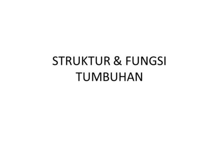 STRUKTUR & FUNGSI TUMBUHAN