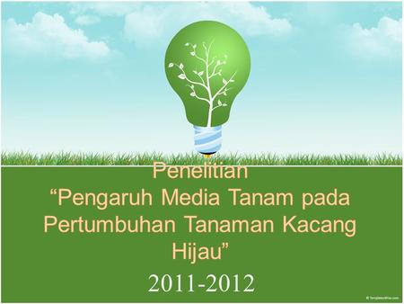Penelitian “Pengaruh Media Tanam pada Pertumbuhan Tanaman Kacang Hijau” 2011-2012.