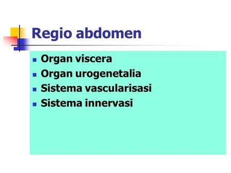 Regio abdomen Organ viscera Organ urogenetalia Sistema vascularisasi