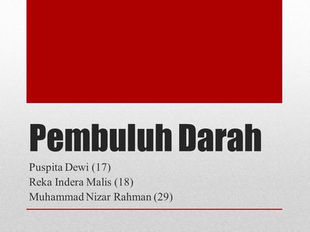 Puspita Dewi (17) Reka Indera Malis (18) Muhammad Nizar Rahman (29)