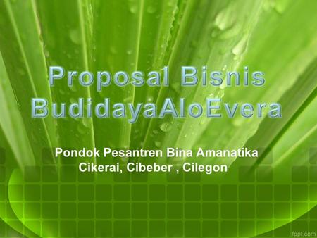 Proposal Bisnis BudidayaAloEvera