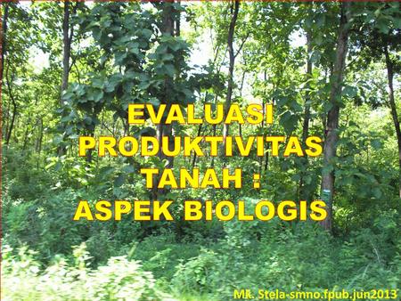 Sumber:.  BIOLOGI TANAH & LINGKUNGAN MIKRO Bahan organik, organisme mikro dan makro (mis. fungal.