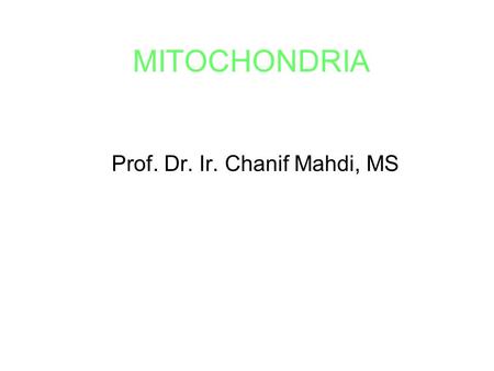 Prof. Dr. Ir. Chanif Mahdi, MS