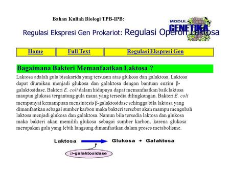 Regulasi Ekspresi Gen Prokariot: Regulasi Operon Laktosa
