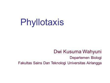 Phyllotaxis Dwi Kusuma Wahyuni Departemen Biologi