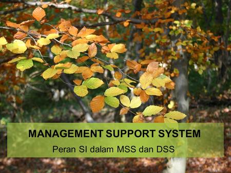 MANAGEMENT SUPPORT SYSTEM