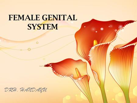 FEMALE GENITAL SYSTEM DRH. HANDAYU.