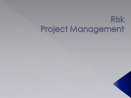 Risk Project Management