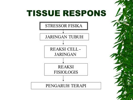 TISSUE RESPONS JARINGAN TUBUH STRESSOR FISIKA REAKSI CELL - JARINGAN REAKSI FISIOLOGIS PENGARUH TERAPI.
