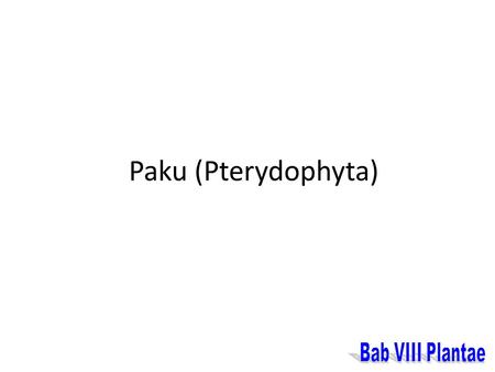 Paku (Pterydophyta) Bab VIII Plantae.