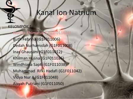 Kanal Ion Natrium KELOMPOK 1 Nurina Khimatus S (G1F011022) Ruth Febrina (G1F011006) Dedah Nurhamidah (G1F011008) Inas Ghausani (G1F011012) Khilman Husna.