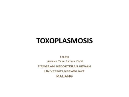 TOXOPLASMOSIS Oleh Program kedokteran hewan Universitas brawijaya