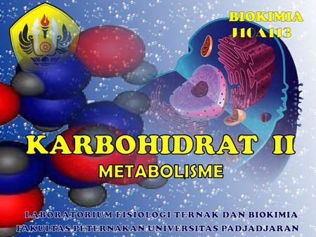 Pengantar Metabolisme Karbohidrat (KH)