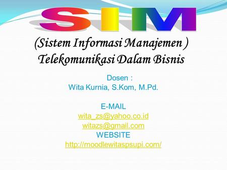 (Sistem Informasi Manajemen ) Telekomunikasi Dalam Bisnis