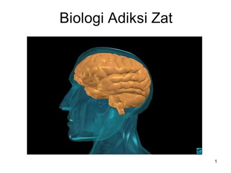 Biologi Adiksi Zat 1. ADIKSI ZAT MERUPAKAN PENYAKIT KMPLEKS www.drugabuse.gov.