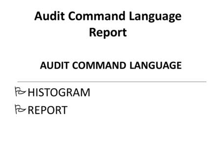 Audit Command Language Report