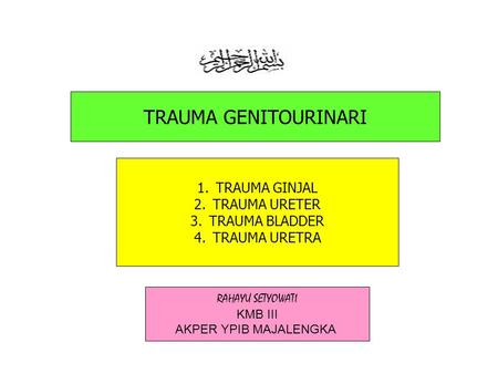 genitourinary trauma/nsu3062/rsetyowati