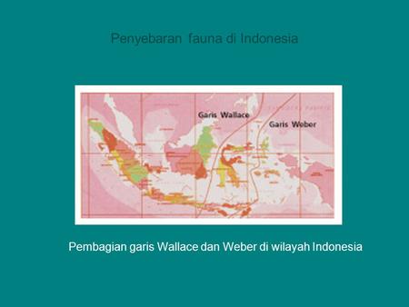 Penyebaran fauna di Indonesia