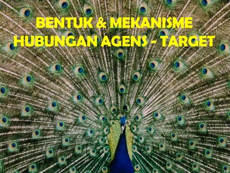BENTUK & MEKANISME HUBUNGAN AGENS - TARGET