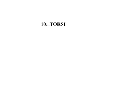 10. TORSI.