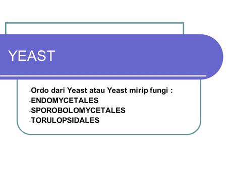 YEAST Ordo dari Yeast atau Yeast mirip fungi : ENDOMYCETALES