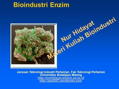 Bioindustri Enzim Materi Kuliah Bioindustri Nur Hidayat