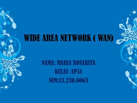 WIDE AREA NETWORK ( WAN) NAMA: MARIA ROSARITA KELAS :1P51 NIM:13.230.0063.