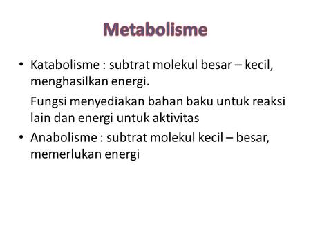 Metabolisme Katabolisme : subtrat molekul besar – kecil, menghasilkan energi. Fungsi menyediakan bahan baku untuk reaksi lain dan energi untuk aktivitas.