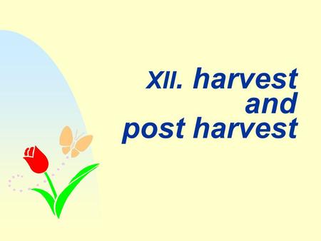 XII. harvest and post harvest. harvesting Panen pada saat yang tepat dan sesuai dengan kebutuhan konsumen Kebutuhan konsumen  3 K : Kualitas, Kuantitas.