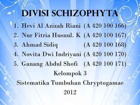 DIVISI SCHIZOPHYTA Hevi Al Azizah Riani (A )
