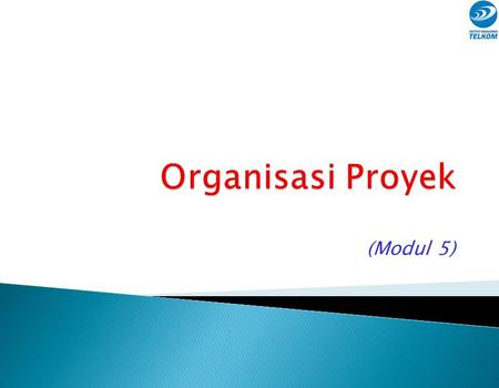 Organisasi Proyek (Modul 5).