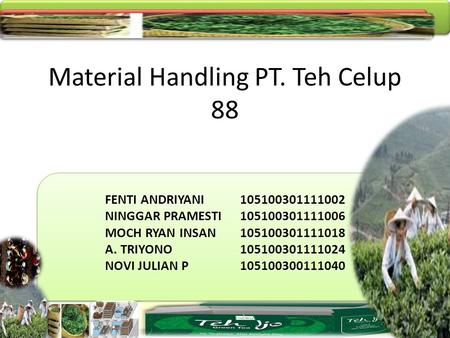 Material Handling PT. Teh Celup 88
