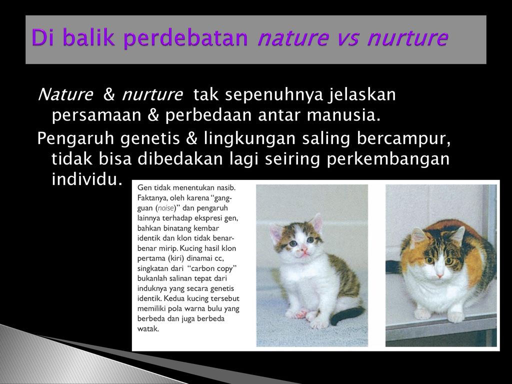 Gen Evolusi Lingkungan Ppt Download