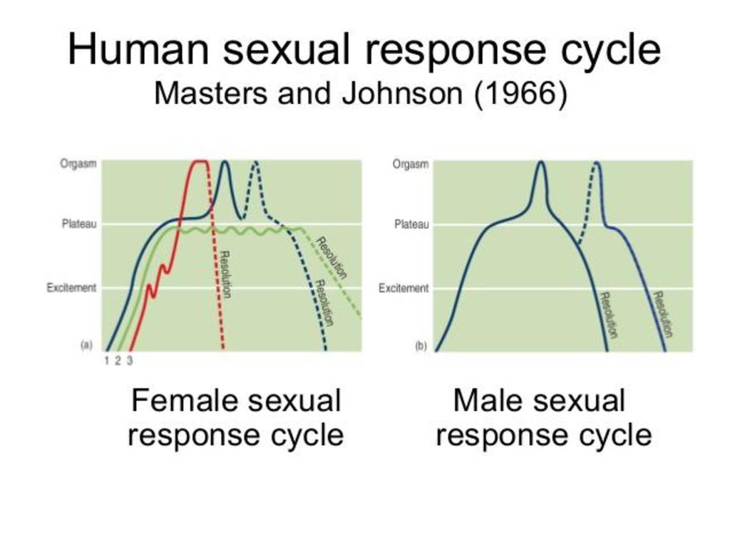 Интимные Истории Секс С Биологичкой