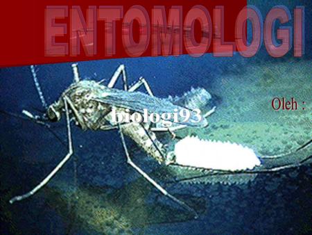ENTOMOLOGI Oleh : biologi93.