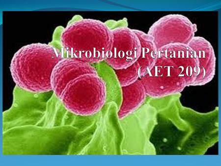 Mikrobiologi Pertanian (AET 209)